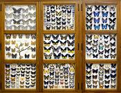 missiemuseum steyl 5-2022 3230